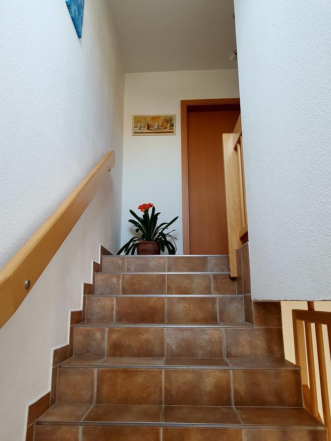 Pension Am Deich Kröslin Dış mekan fotoğraf